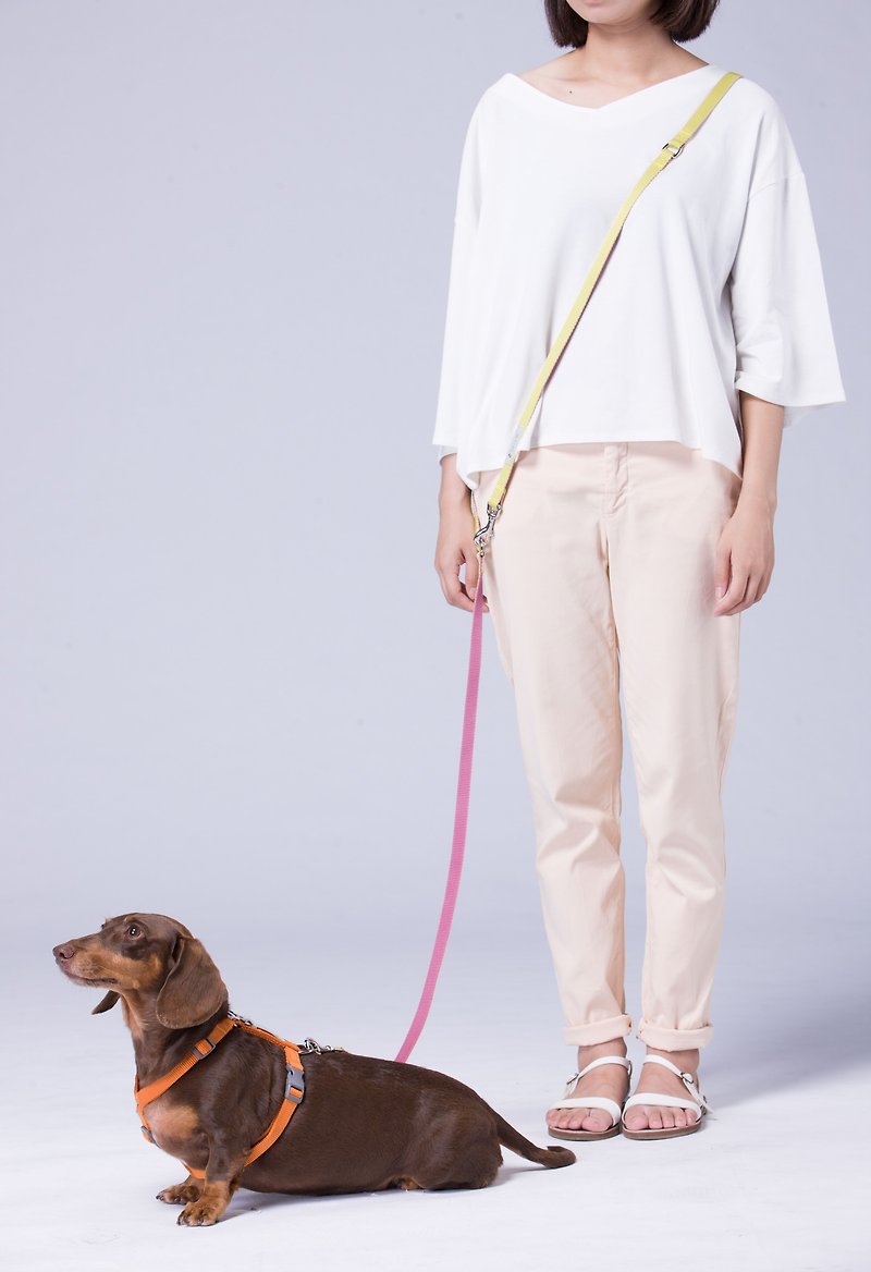 [Tail and me] Multifunctional two-color standard leash purple red lemon yellow - ปลอกคอ - ไนลอน หลากหลายสี