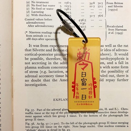 Taoist Spell Acrylic Hanging Deco Key Chain - Shop CY Studio