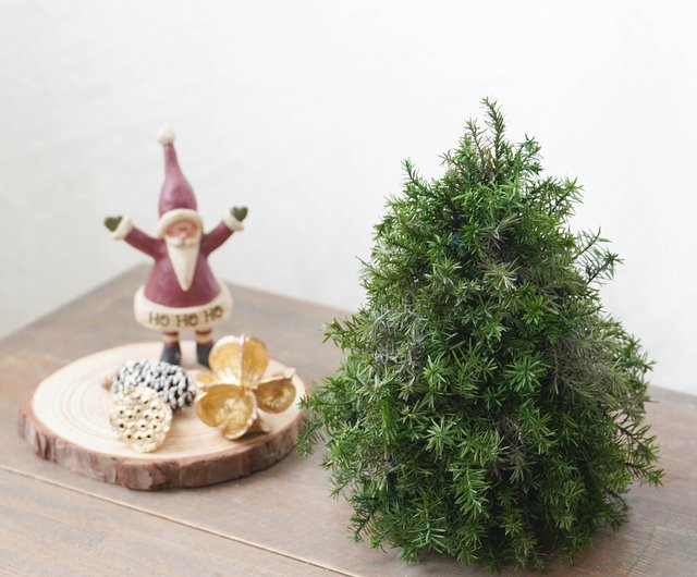 anybody have an owners manual for a wife - Cedar Ornament anybody have an owners manual for a wife - Cedar Ornament