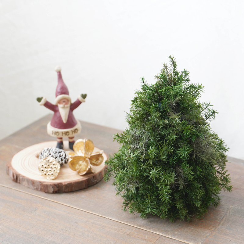 [DIY Material Kit] Decorate your own everlasting cedar Christmas tree/with simple electronic instructions - Plants & Floral Arrangement - Plants & Flowers 