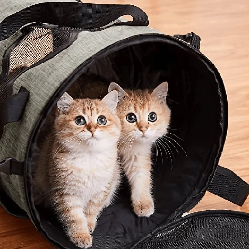【FOFOS】隧道圓桶包 | 貓包貓隧道 2 in 1 - 寵物背包/寵物推車/外出籠 - 其他材質 