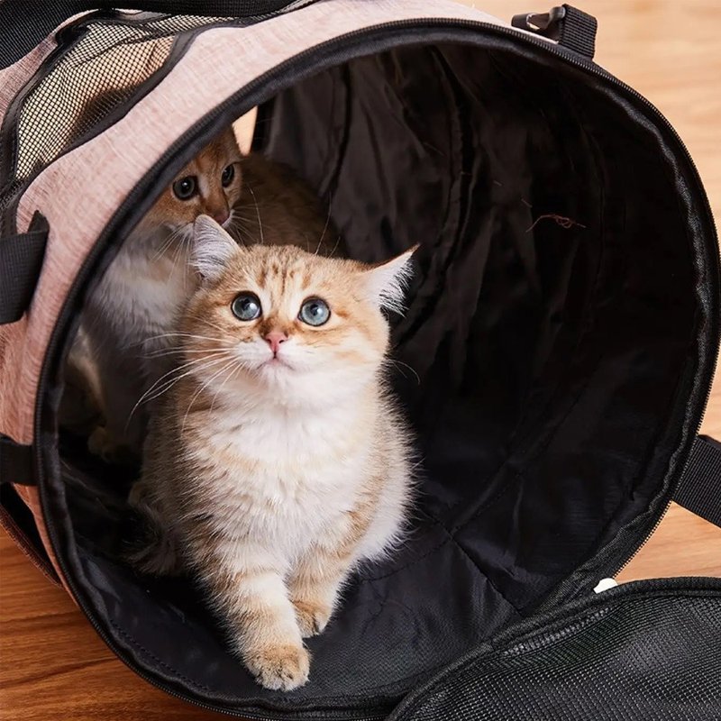 【FOFOS】Tunnel drum bag | Cat bag Cat tunnel 2 in 1 - กระเป๋าสัตว์เลี้ยง - วัสดุอื่นๆ 