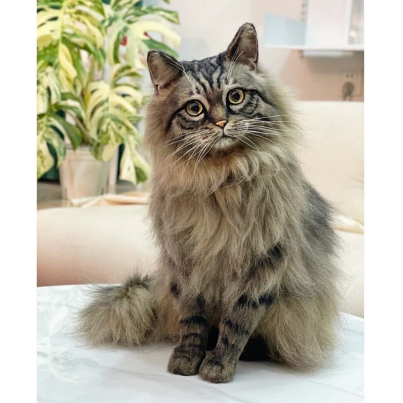 客製化逼真猫 羊毛氈 寵物 娃娃 定製 手工 狗狗猫咪 毛小孩  204 - 貓/狗玩具 - 羊毛 多色