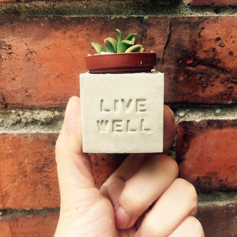 Live Well~! Succulent Magnet Potted Plant - Plants - Cement Gray