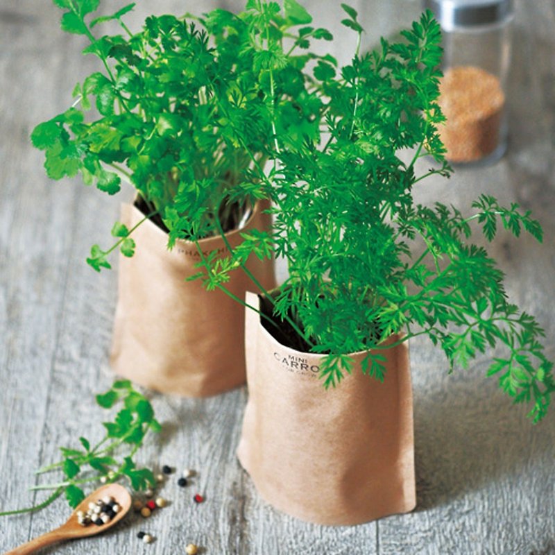 [Autumn Recommendation] Grow Soup Simple Ingredients Series Planter / Wild Vegetable Soup (Two Types) - Plants - Paper Brown