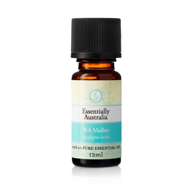 [Essential oil for epidemic prevention] Eucalyptus WA Mallee - น้ำหอม - พืช/ดอกไม้ สีน้ำเงิน