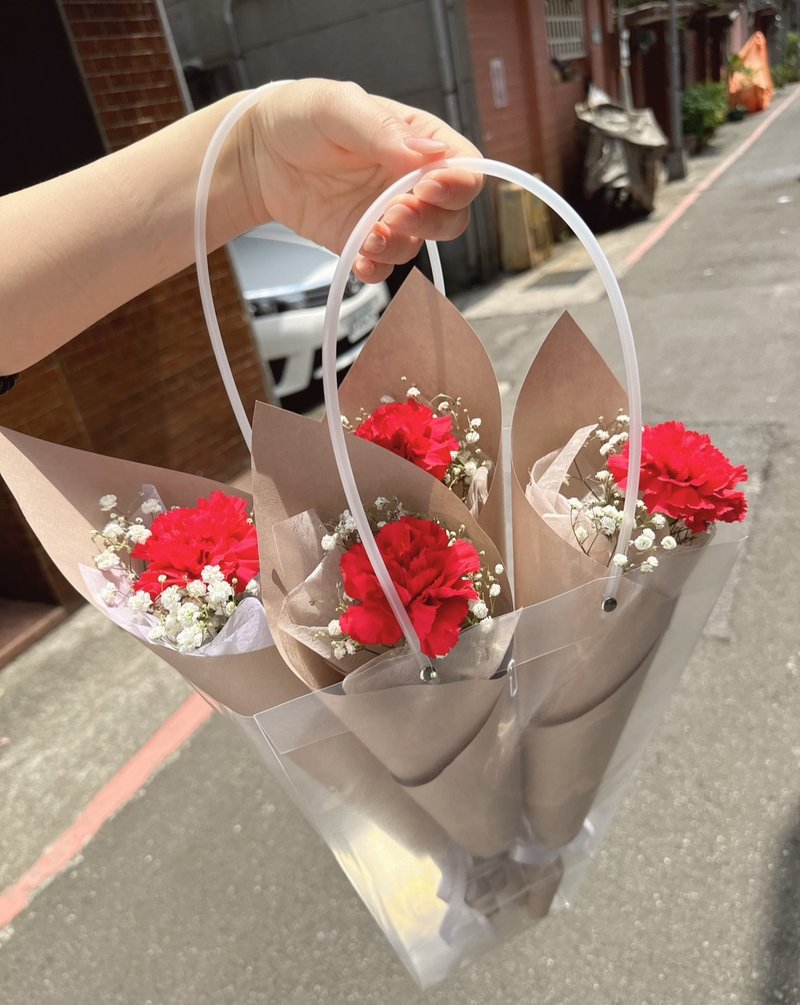 Carnation single flower bouquet - Plants - Plants & Flowers Red