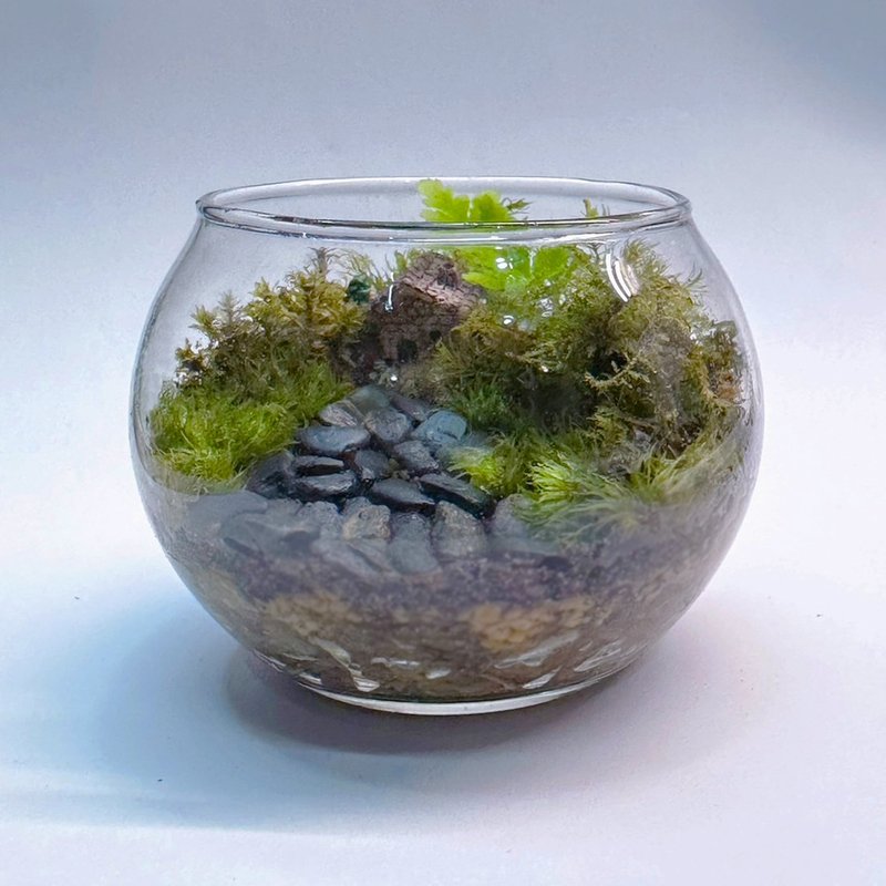 Mini palm-shaped handmade micro-landscape ecological basin - Green Field Nest - Plants - Plants & Flowers 