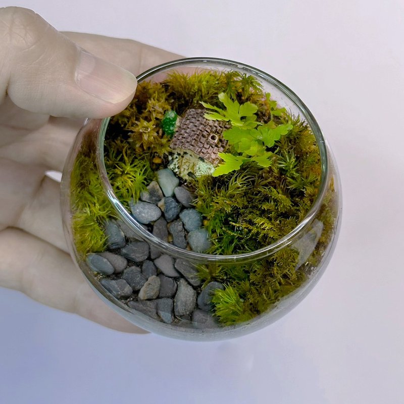新品上市 綠野小巢 / 迷你掌上型手工微景觀生態盆 - 植栽/盆栽 - 植物．花 
