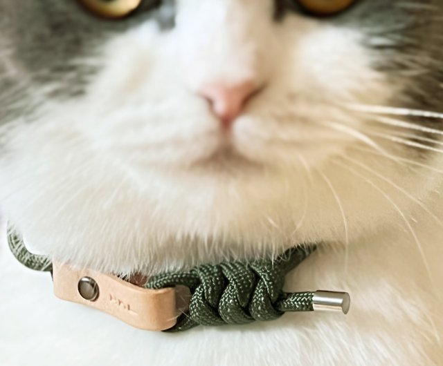 Cat collar that outlet translates meows