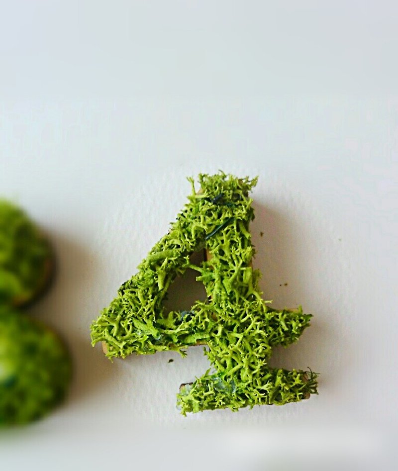 Wooden number object (moss) 5 cm /４x 1 piece - Items for Display - Wood Green