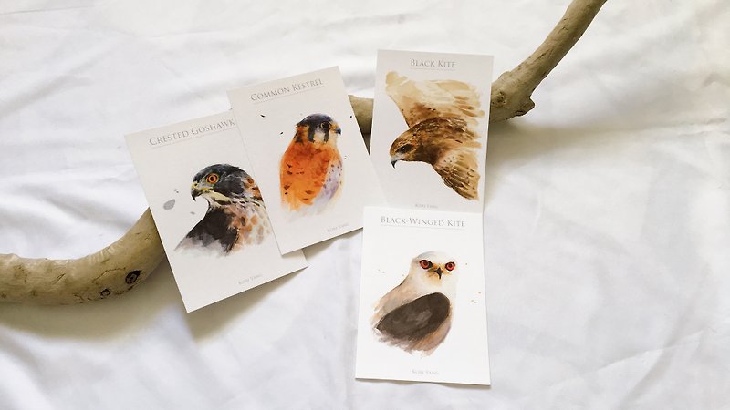 Birds postcard group Y Raptor 4.0 - Cards & Postcards - Paper 