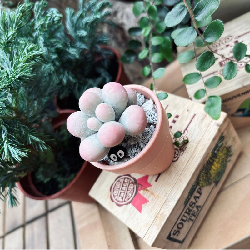 多肉下午茶 黏土 手作 微型多肉植物 - 擺飾/家飾品 - 植物．花 