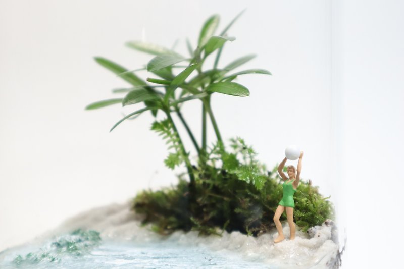 【Micro Landscape】White Beach of Manyou Island- Vacation/Beach Style/Indoor Plants/Birthday Gift - ตกแต่งต้นไม้ - แก้ว สีเขียว