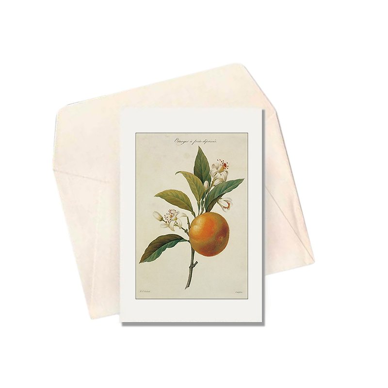 Italian IFI Card Flower Series Orange Blossom_FRT3 - Cards & Postcards - Paper 
