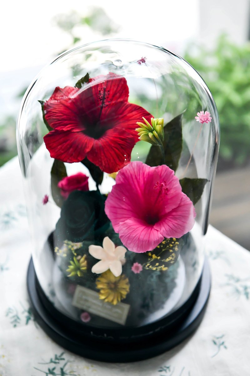 Summer Hibiscus Glass Dome - Items for Display - Plants & Flowers 