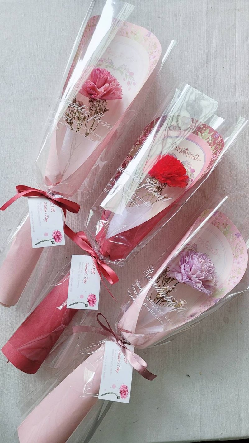 Haizang Design│Specially for you. Single dried carnation bouquet/Mother's Day bouquet corporate gift - ช่อดอกไม้แห้ง - พืช/ดอกไม้ สึชมพู