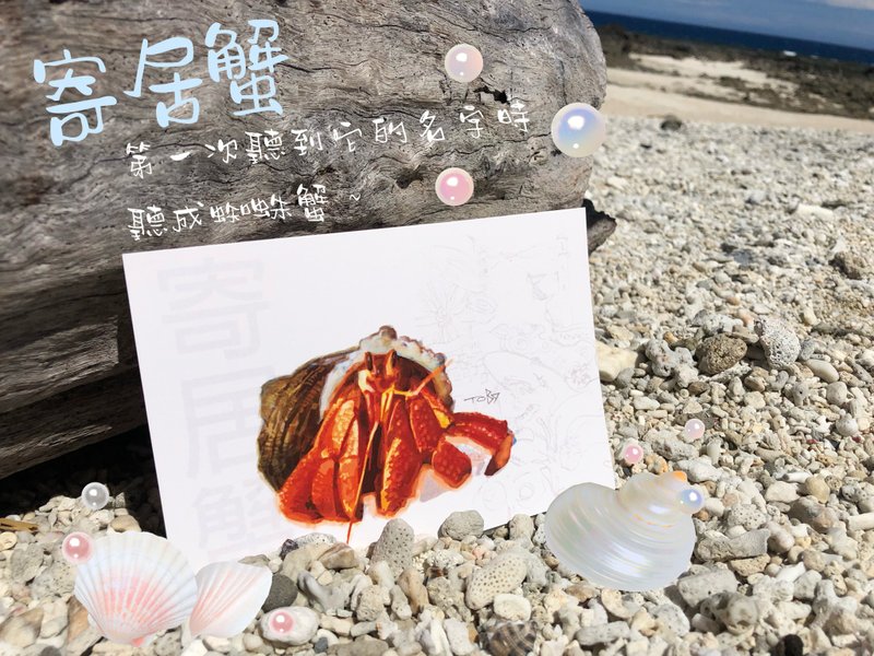 Meet the Hermit Crab-Green Island/Handmade/Hermit Crab/Diving/Postcard - การ์ด/โปสการ์ด - กระดาษ สีเขียว