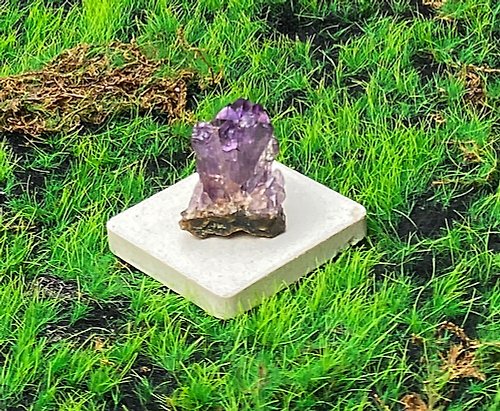 Rainbow Crystal 能量擺飾-天然原皮原礦可愛紫水晶晶簇 快速出貨 財運水晶