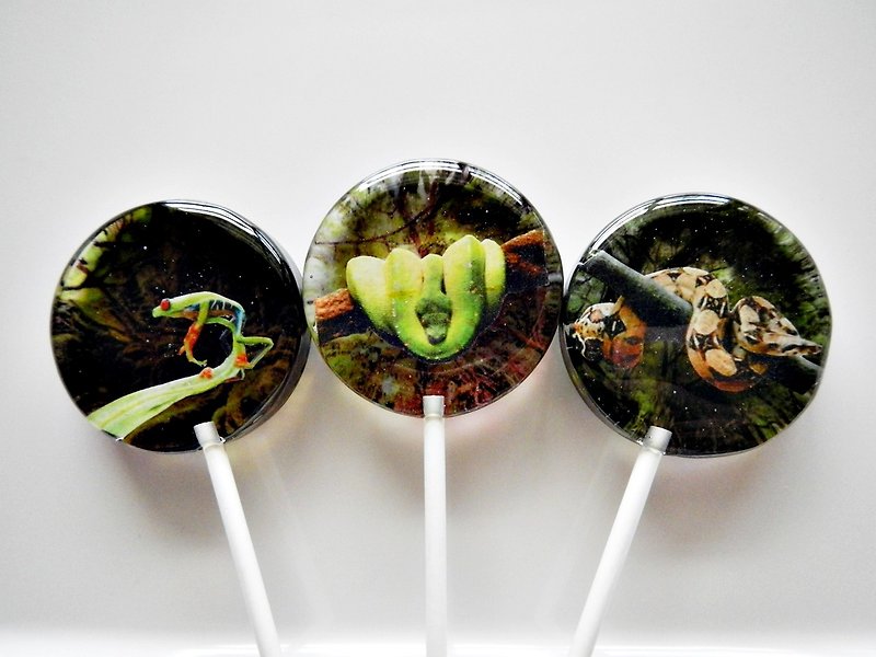 Creative lollipop-natural ecology - ขนมคบเคี้ยว - อาหารสด หลากหลายสี
