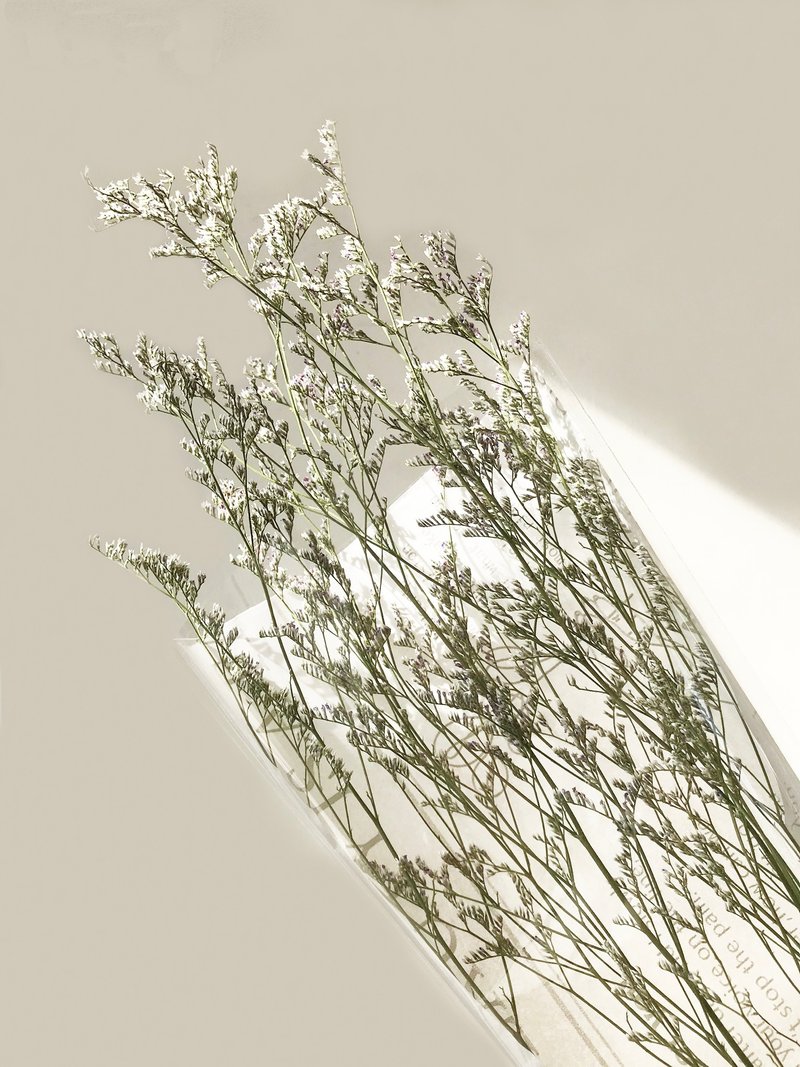 卡斯比亞│自製乾燥花新鮮花材乾燥果實 - 乾燥花/永生花 - 植物．花 紫色