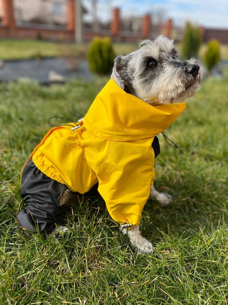 Raincoat - Clothing & Accessories - Waterproof Material Yellow