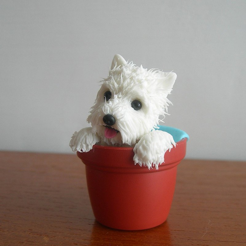 west highland dog in basin - Other - Clay 