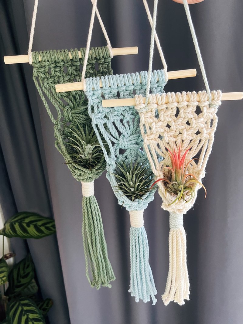 Macrame Bohemian Air Grass Hanging Basket. mini plant hanging basket - Plants - Cotton & Hemp Multicolor