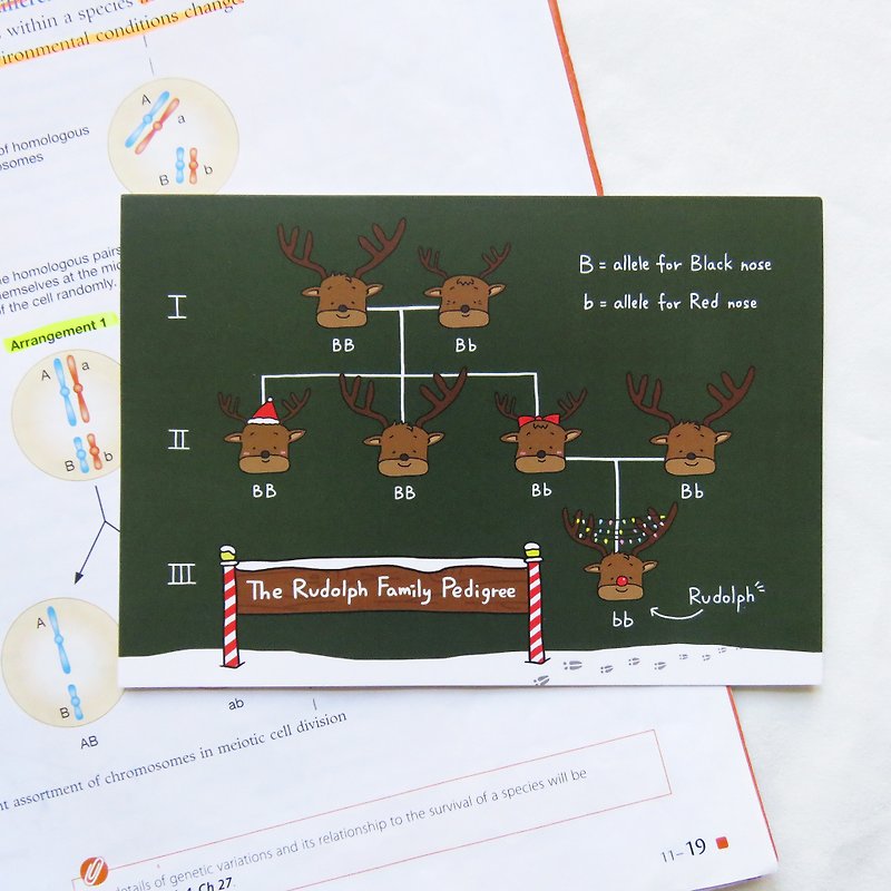 Why is the nose of the red-nosed deer red/Genetic Biology Christmas Card - Cards & Postcards - Paper 