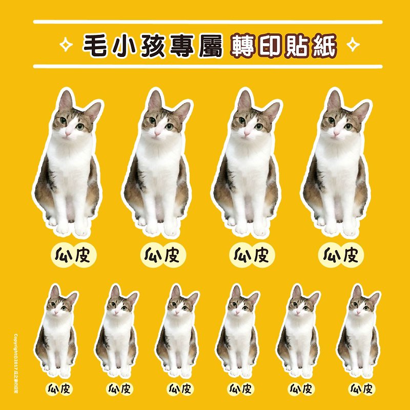 客製化 寵物貓狗 / 人像 熱轉印貼紙 (DIY材料包) transferable