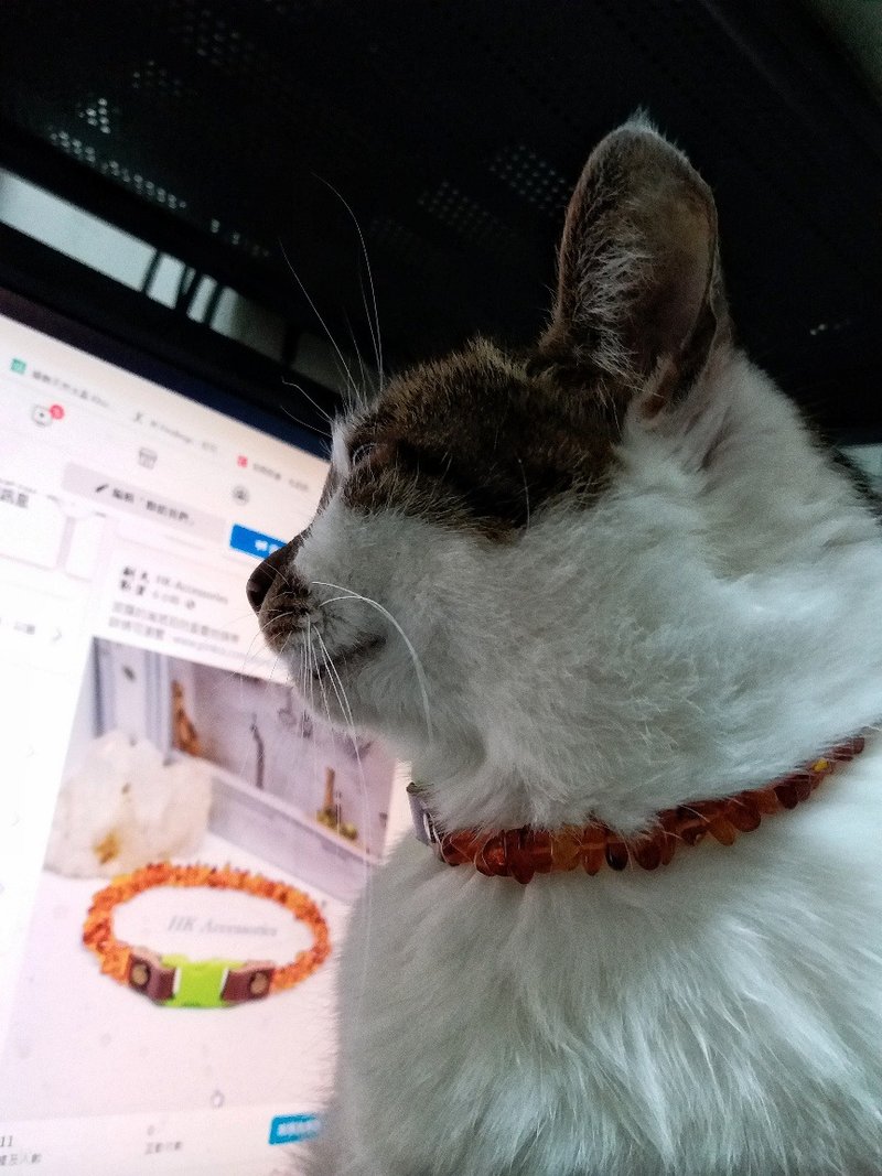 波蘭金琥珀防蚤寵物頸帶 ( Baltic Amber Collar For Cats ) - 項鍊 - 寶石 