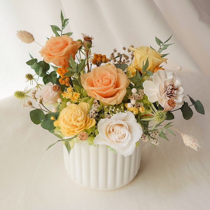 Preserved Flower Potted Flowers - Dawn Yellow - Dried Flowers & Bouquets - Plants & Flowers Yellow