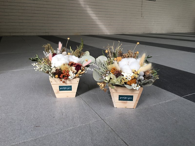 [良い]フラワーポット天然木乾燥システム乾燥綿の花のセレモニーオープニングセレモニーテーブルガーデンの飾り新年の贈り物 - 観葉植物 - 寄せ植え・花 ブラウン