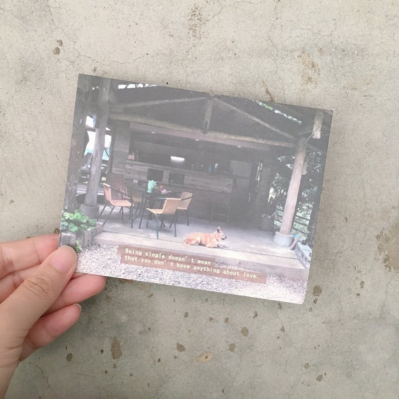 單身 並不意味你不懂愛 明信片 心情酷卡 攝影日常/文 - 卡片/明信片 - 紙 
