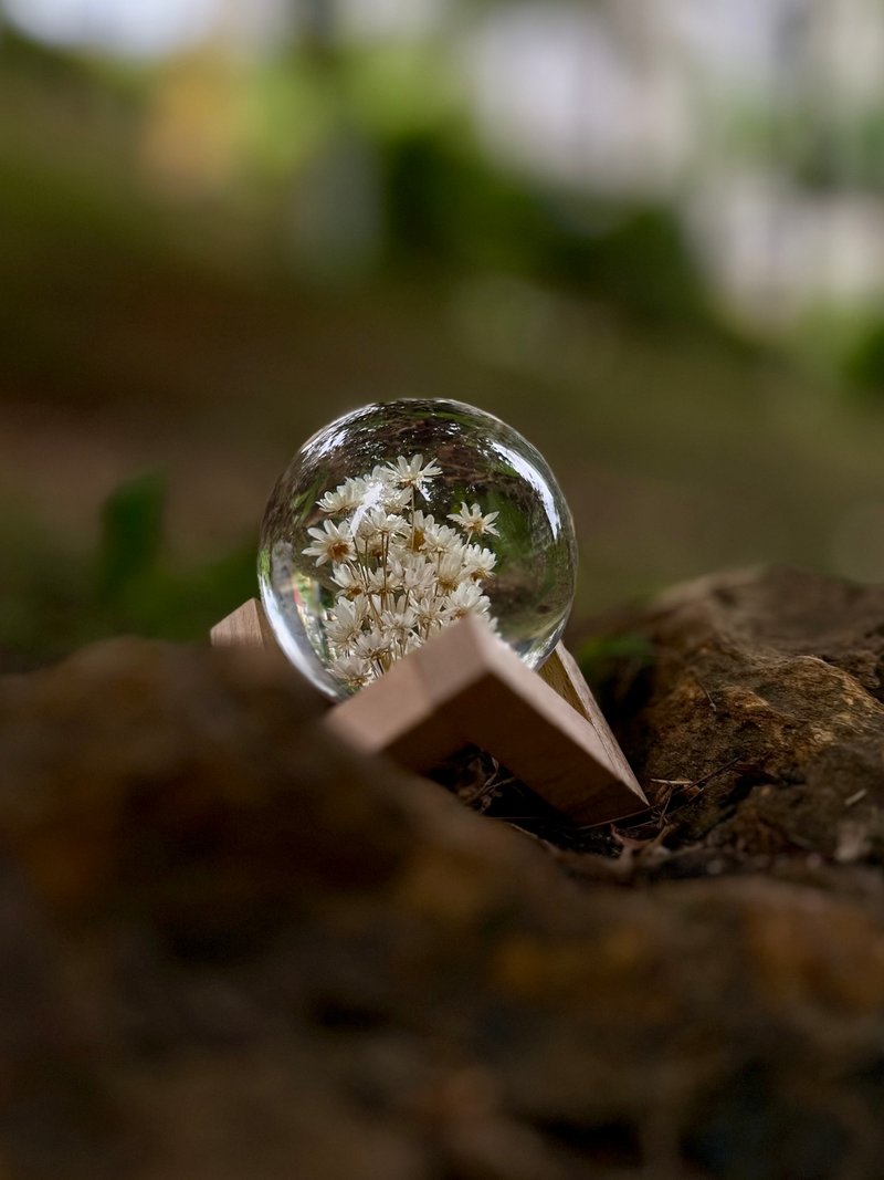 永生花樹脂水晶球系列 配支架 - 擺飾/家飾品 - 樹脂 