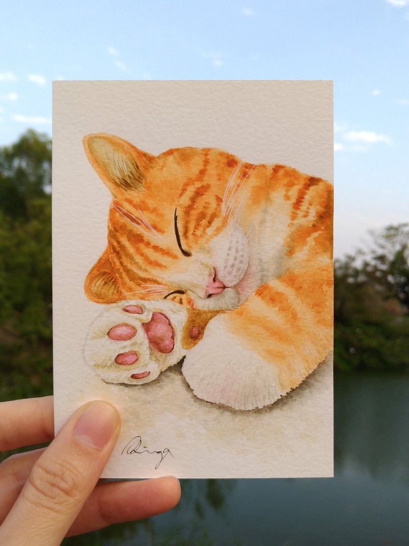 橘猫写实风格水彩画 卡片 原画