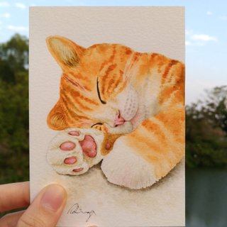 橘猫写实风格水彩画 卡片 原画