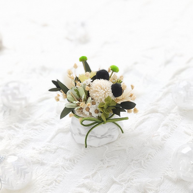 Everlasting and fragrant small potted flowers-Panda Mini Graduation Gift - ช่อดอกไม้แห้ง - พืช/ดอกไม้ ขาว