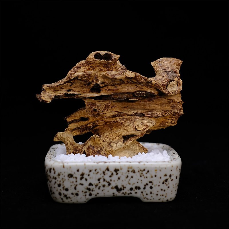 [Agarwood decoration] Hui'an insect-carved agarwood - ของวางตกแต่ง - วัสดุอื่นๆ 