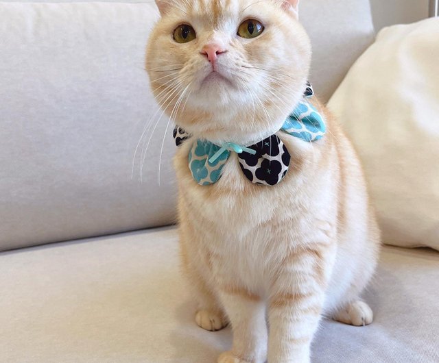 エメラルドフラワー柄(①)わんちゃん猫ちゃん用首輪 フラワー柄(ミルク