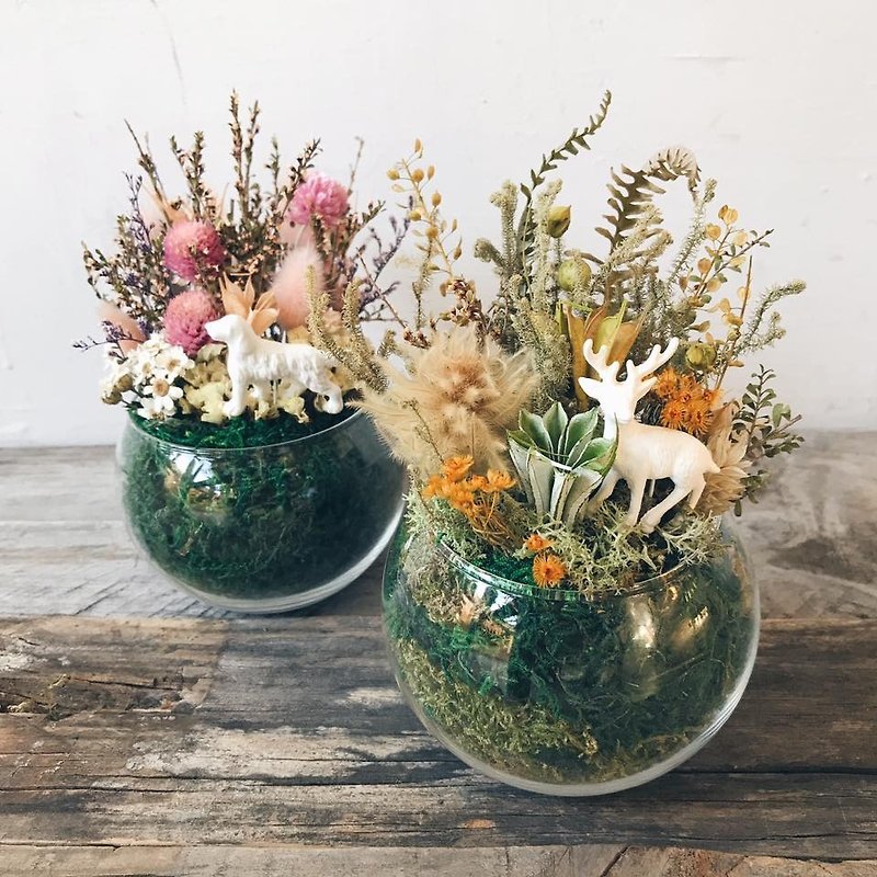 mini zoo dry potted flowers - ตกแต่งต้นไม้ - พืช/ดอกไม้ สึชมพู