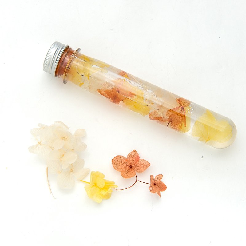 Tube Series [Your Smile] - Cloris Gift Glass Flower - Plants - Plants & Flowers Yellow