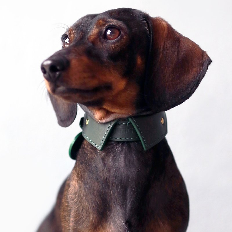 Pet collar-ปลอกคอสัตว์เลี้ยงปกเสื้อเชิ้ต (บาง) หนังนิ่มแท้ สลักชื่อฟรี | Sniff - ปลอกคอ - หนังแท้ สีเขียว