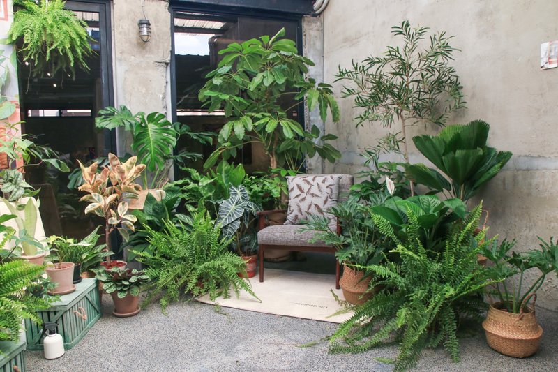 【展場綠化設計】19度C巷弄裡的三號公寓(with Lofi-house) - 盆栽/植栽 - 植物．花 
