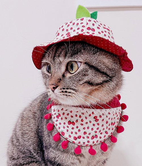 喵姬愛貓 主子賣萌-水果多多系列-雙面領巾+水果帽(草莓雪沙)