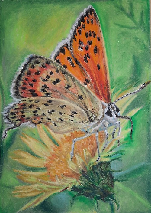 AsheArt Butterfly painting Oil pastel painting Original painting Insect art Flower art