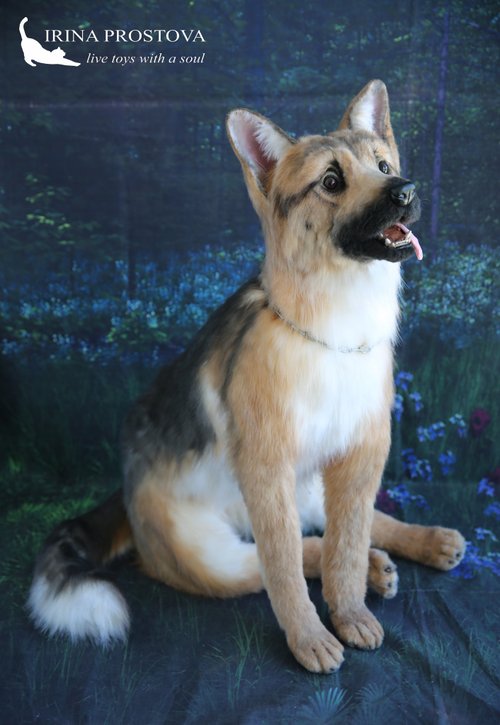 等身大 ジャーマンシェパード ぬいぐるみ リアル 昭和 アンティーク 飾り ジャーマンシェパードのリアルなぬいぐるみです。オーク人形。動物的な