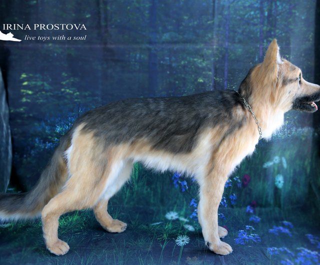 等身大 ジャーマンシェパード ぬいぐるみ リアル 昭和 アンティーク 飾り ジャーマンシェパードのリアルなぬいぐるみ。オーク人形。アート