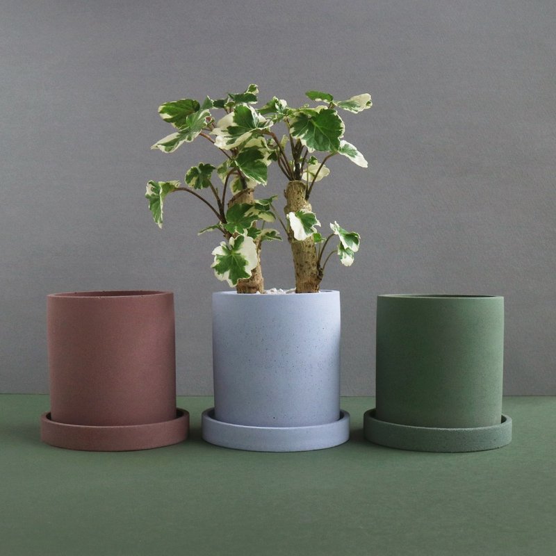 秋冬沈穩莫蘭迪【3寸圓型水泥盆組】 - 盆栽/植栽 - 水泥 