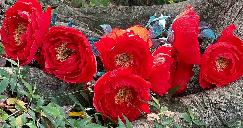 【花禮】牡丹花 手工製 生活品味 居家佈置 禮品 花束 可客製 - 擺飾/家飾品 - 紙 紅色